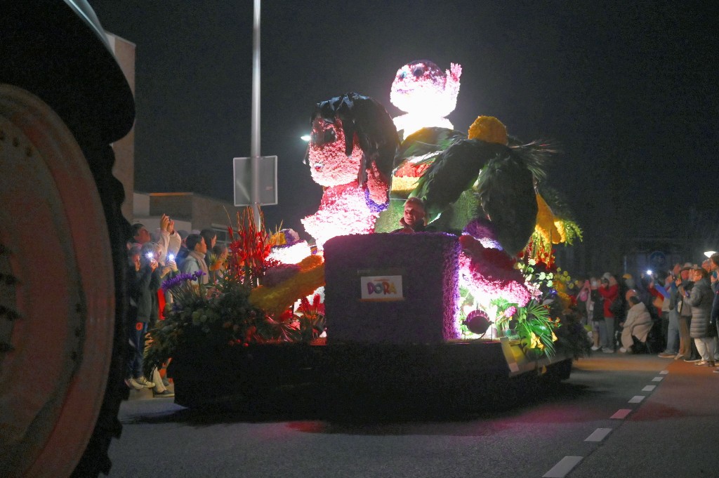 ../Images/Verlicht bloemencorso 2025 178.jpg